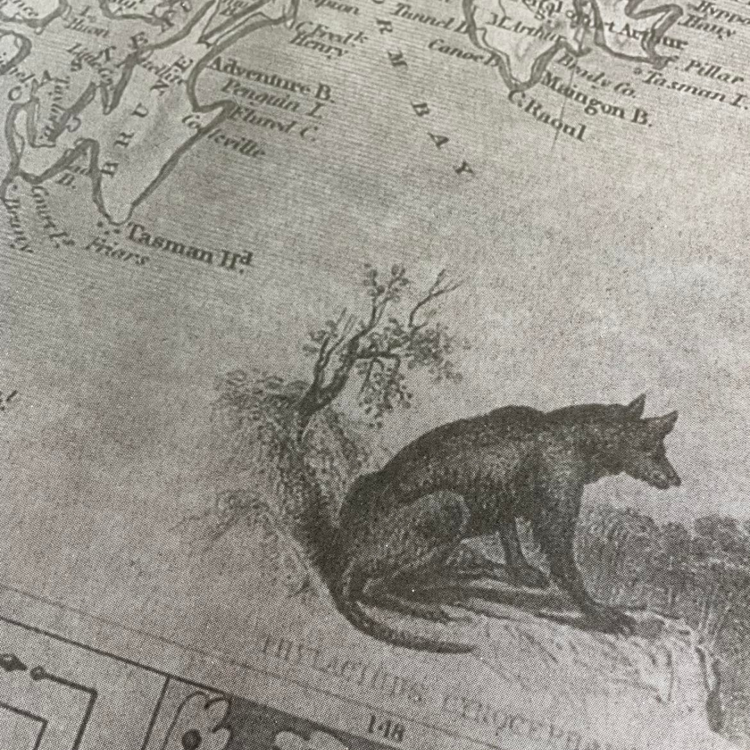 Gourmet Gift Hampers Tasmania Van Diemen's Wrapping Paper