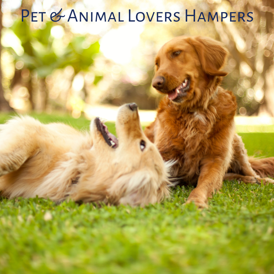 Pet and animal lovers Hamper Boxes Australia