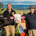 Ashgrove cheese family two mature men standing with a real cow and statue brightly painted cow