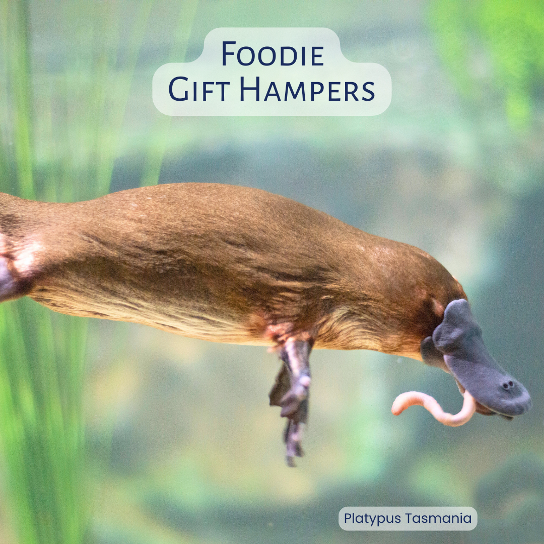 Foodie Tasmanian Gourmet Gift Hamper