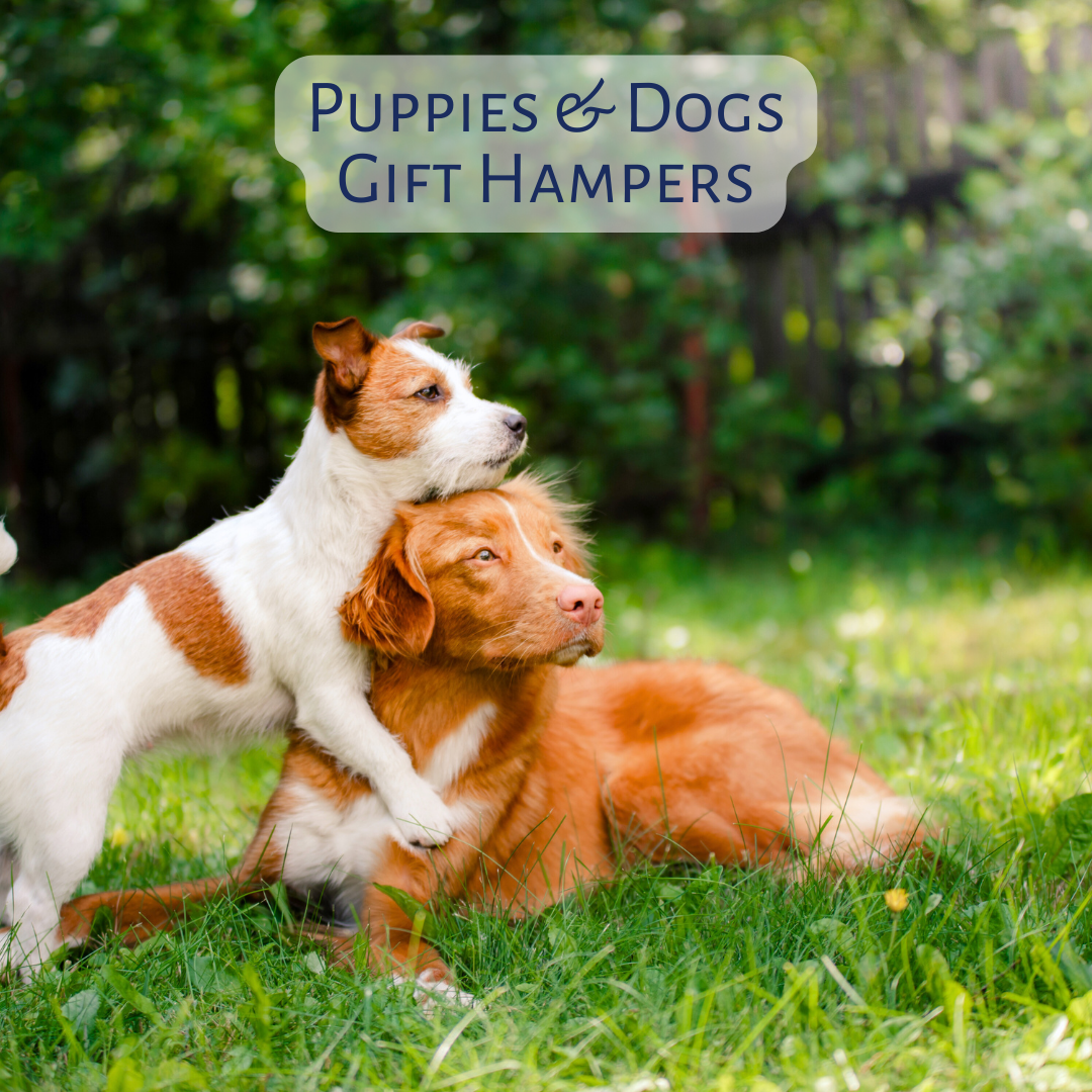 Puppies & Dogs Gourmet Gift Hamper