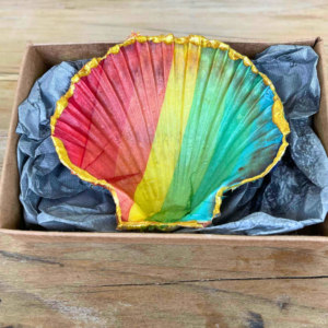 Tasmanian Scallop Rainbow Trinket Dish