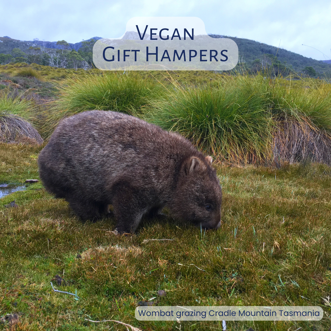 Vegan Gourmet Gift Hamper