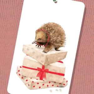 Gift Tag - Christmas Tasmanian Echidna