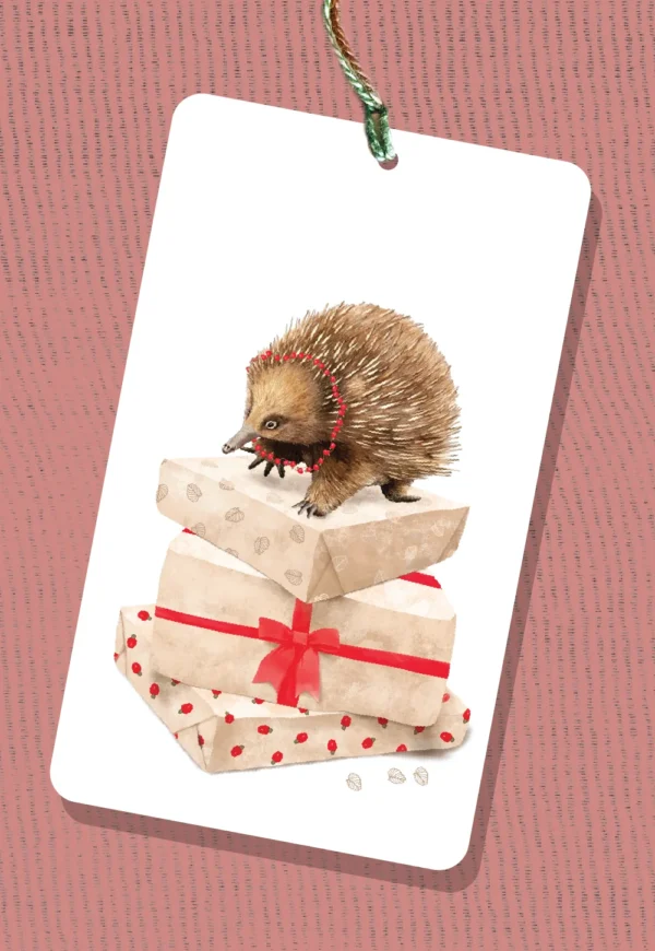 Gift Tag - Christmas Tasmanian Echidna