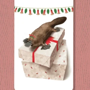 Gift Tag - Christmas Tasmanian Platypus