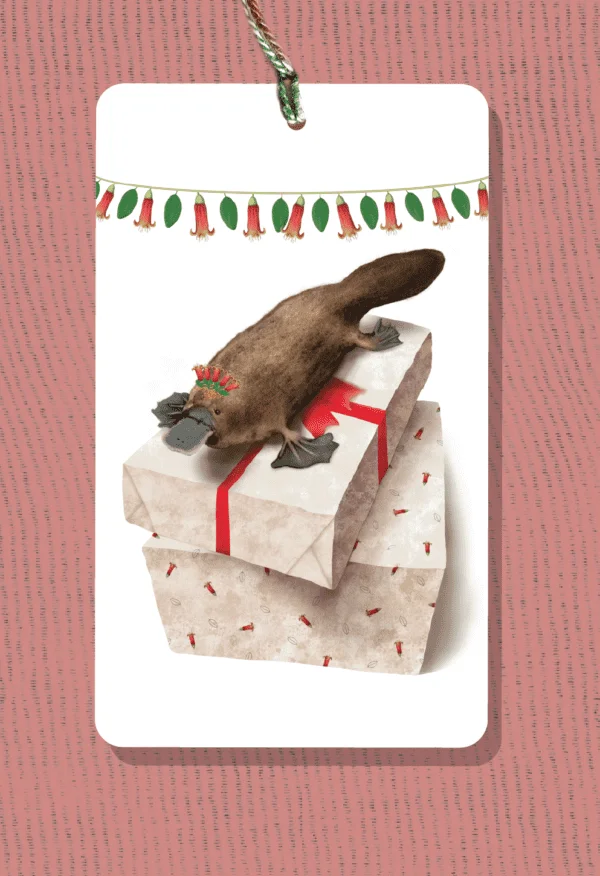 Gift Tag - Christmas Tasmanian Platypus